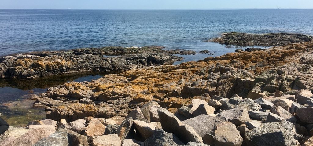 IMG_7281-aspect-ratio-675-315