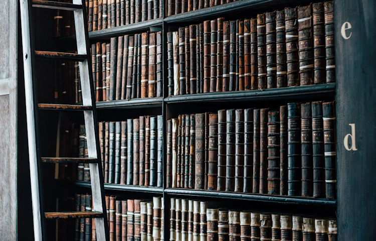 boeger-med-stige-beskaaret-dmitrij-paskevic-yjva-f9p9kk-unsplash