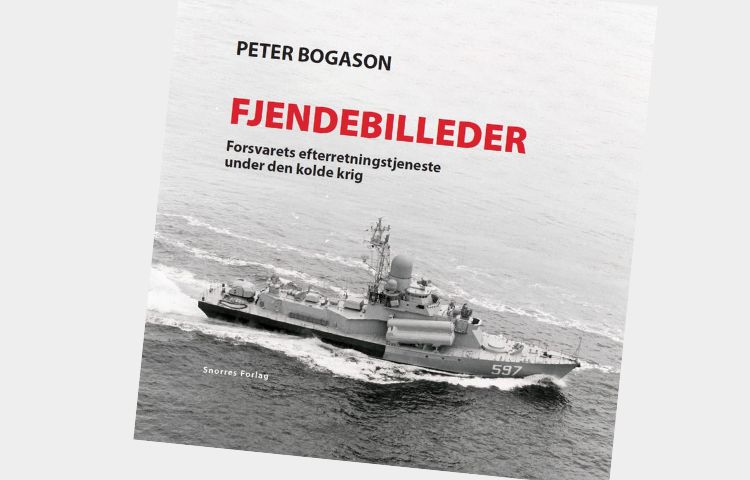 boganmeldelse-bogason-fjendebilleder