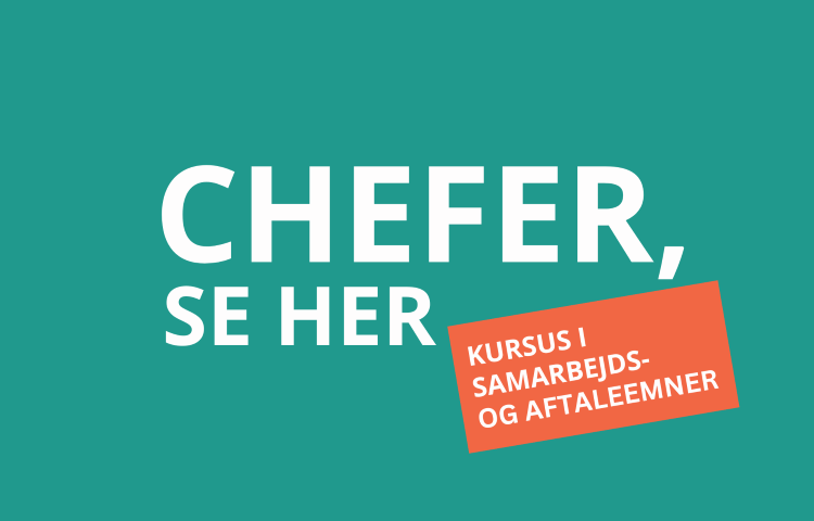 chefkursus-efteraar-2024