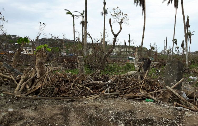 det-er-svaert-at-rejse-hjem-igen-nyhed-jan-2017